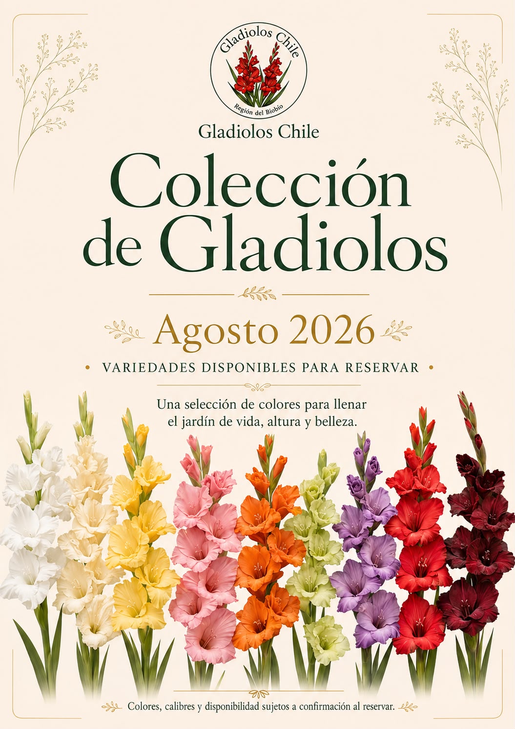 Portada del catálogo Colección de Gladiolos 2026 de Gladiolos Chile: varas de gladiolo blancas, cremas, amarillas, rosadas, naranjas, verdes, moradas, rojas y burdeos