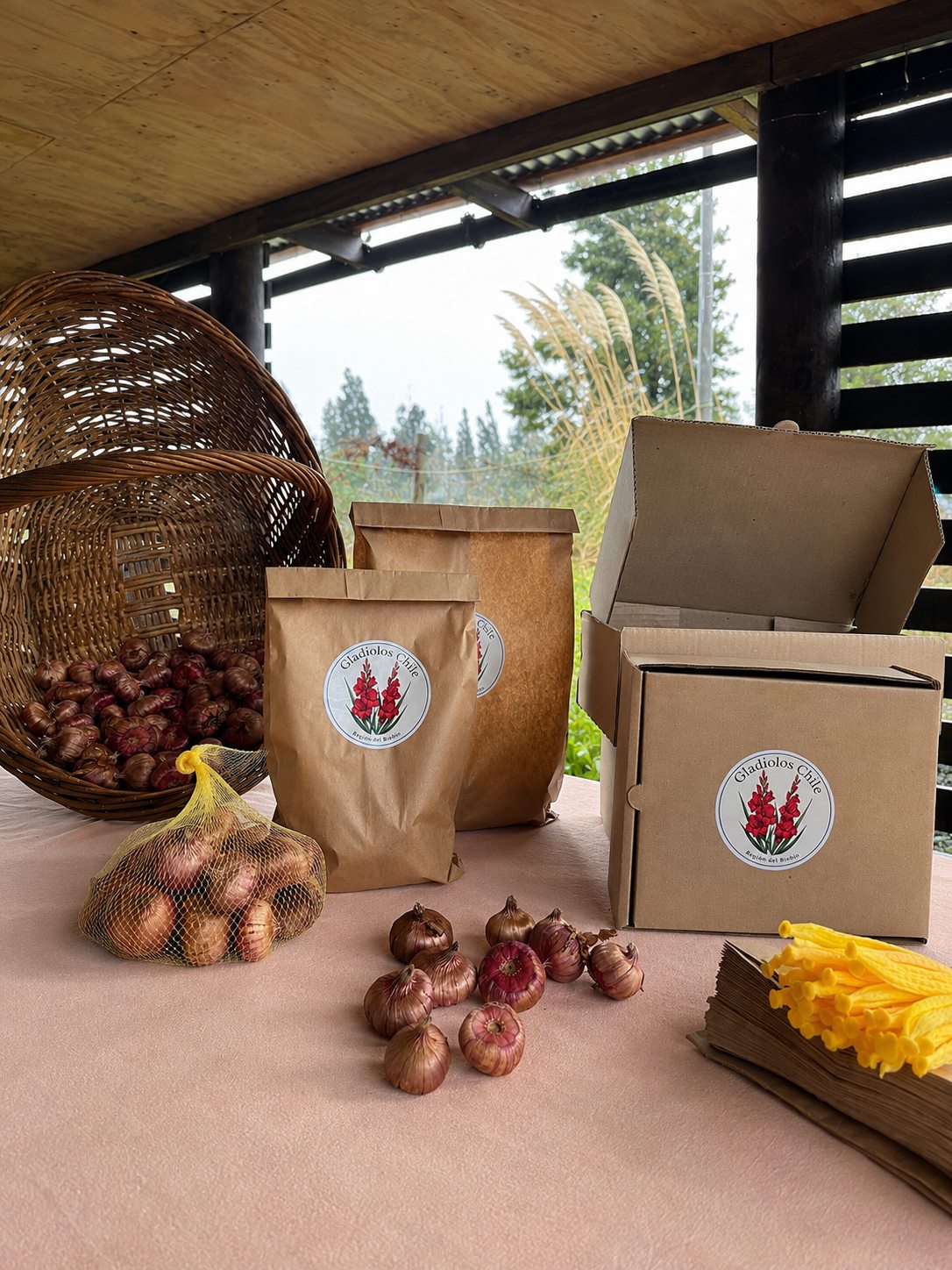 Canasto con cormos, malla amarilla, bolsas kraft con sello de Gladiolos Chile y caja de envío